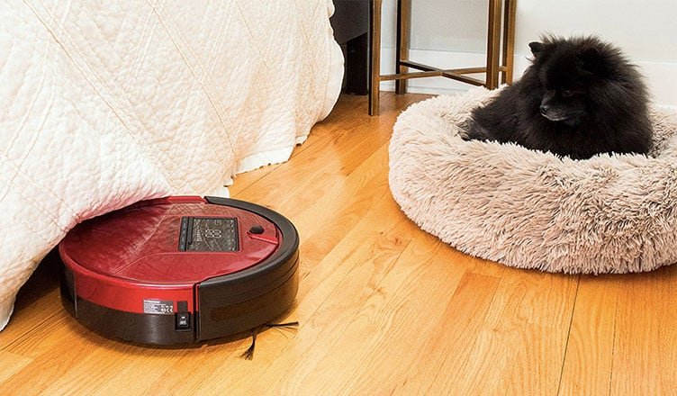 10 Best Robotic Vacuum Cleaner For Pet Hair Keep Your Home Clean